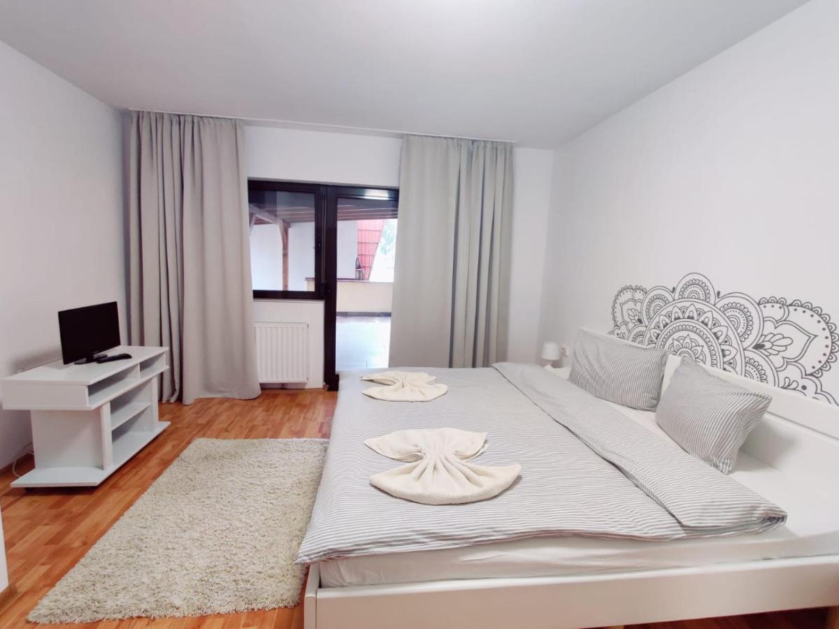 Penthouse Daniela - 3 Rooms In A Spacious Central Apartment Târgu-Mureş Buitenkant foto