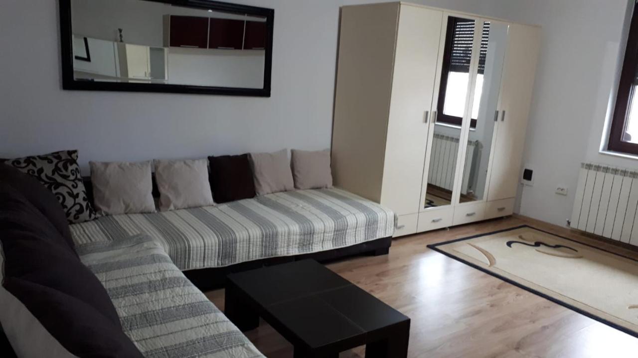 Penthouse Daniela - 3 Rooms In A Spacious Central Apartment Târgu-Mureş Buitenkant foto