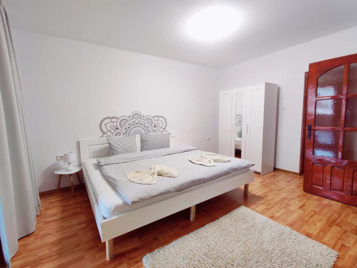 Penthouse Daniela - 3 Rooms In A Spacious Central Apartment Târgu-Mureş Buitenkant foto