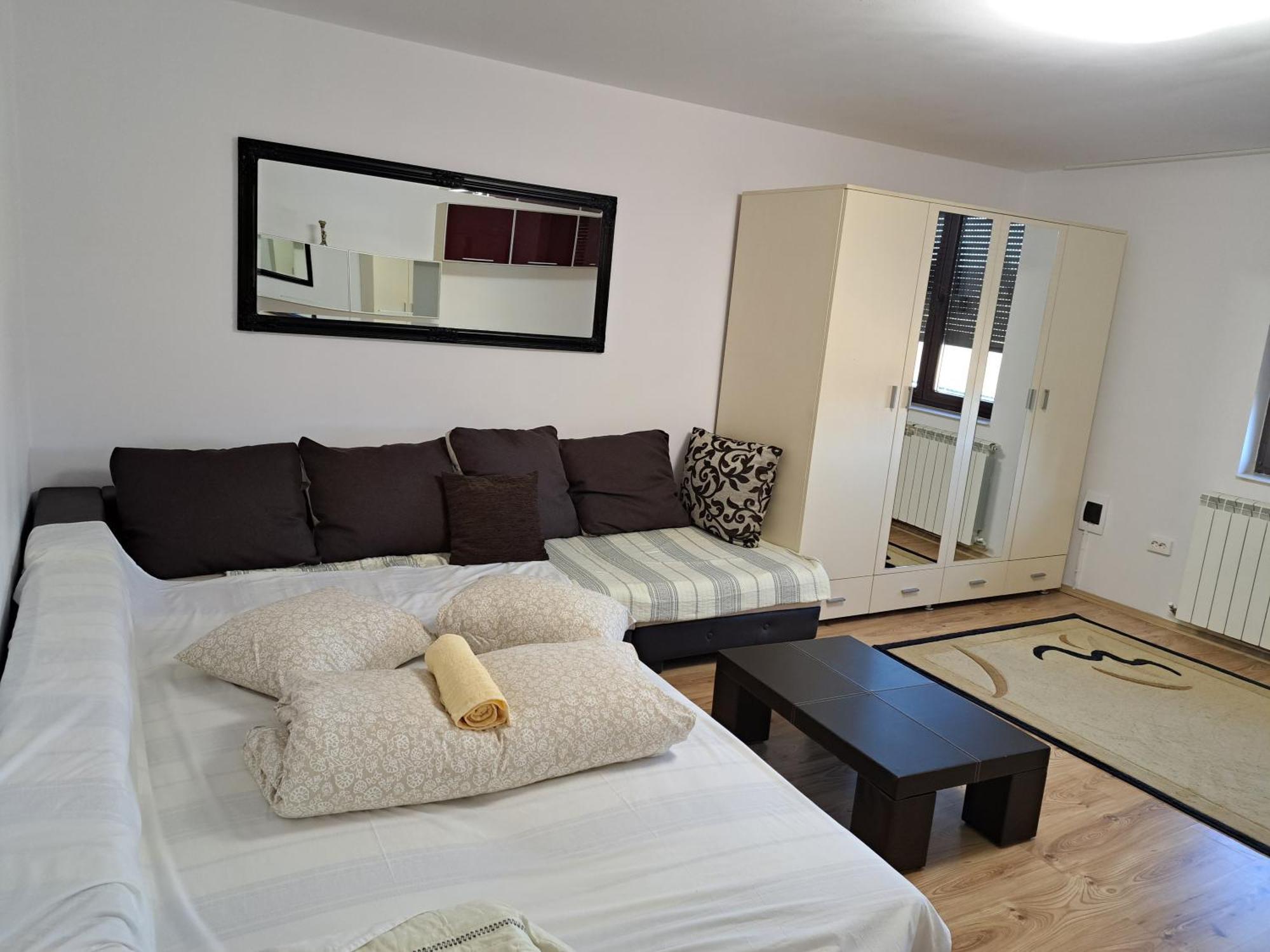 Penthouse Daniela - 3 Rooms In A Spacious Central Apartment Târgu-Mureş Buitenkant foto